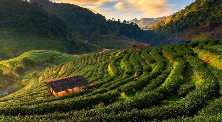 du-lich-thai-l an-nen-di-thoi -diem-nao-tot- nhat-7.jpeg